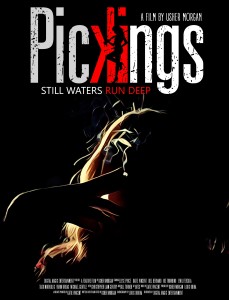 Official Poster - PIckings 2