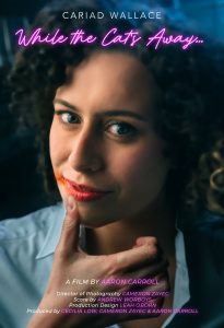 while the cat's away