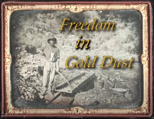Freedom in Gold Dust poster