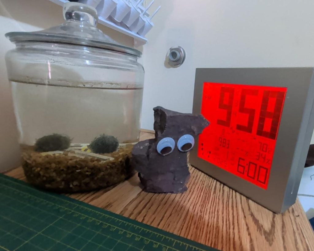 the freedom of uselessness